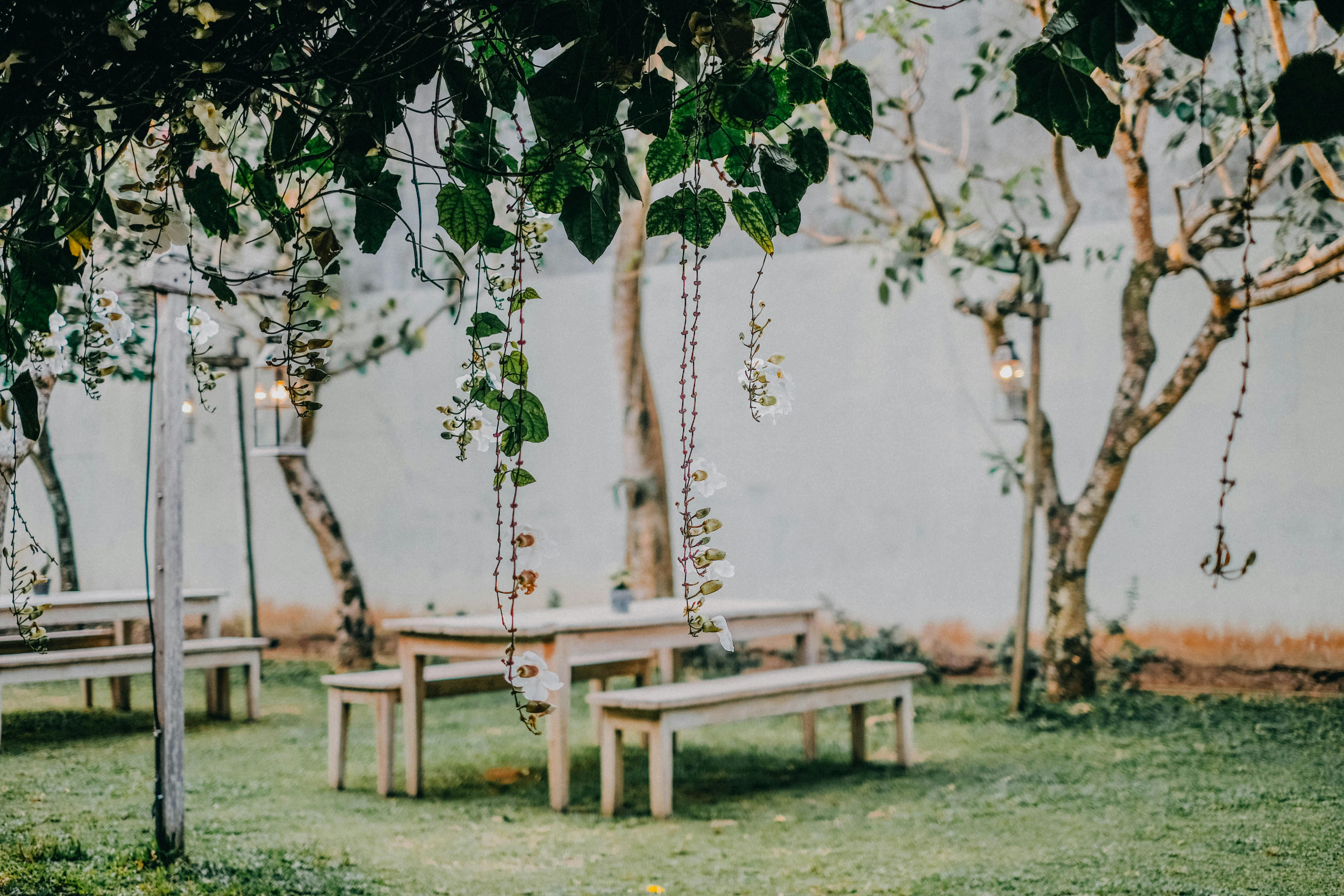 Garden party setup | Source: Pexels