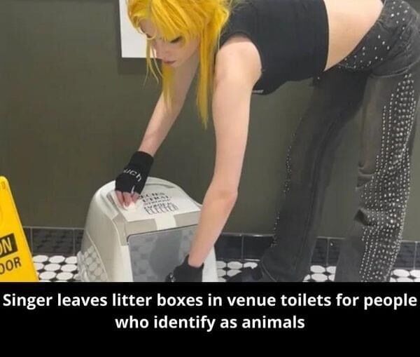 A Controversial Move: Artist Leaves Litter Boxes in Restrooms