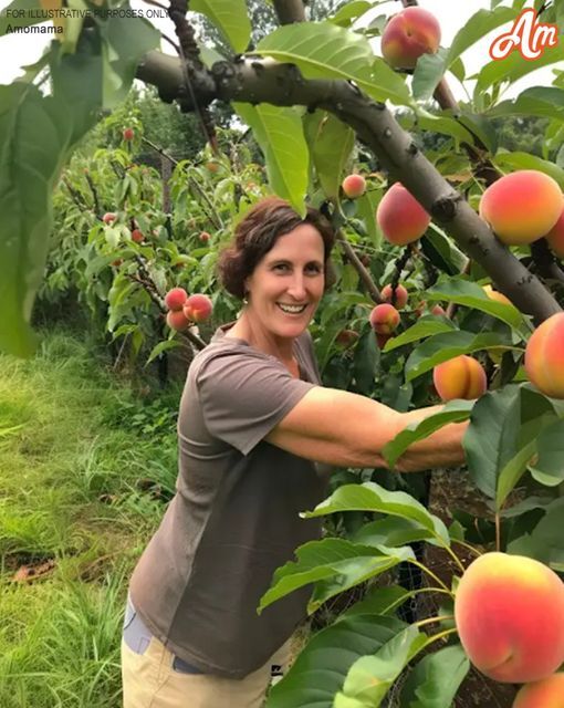 My Neighbor Ruined the Peach Orchard I Received from My Grandparents – I Ensured She Regretted Her Actions