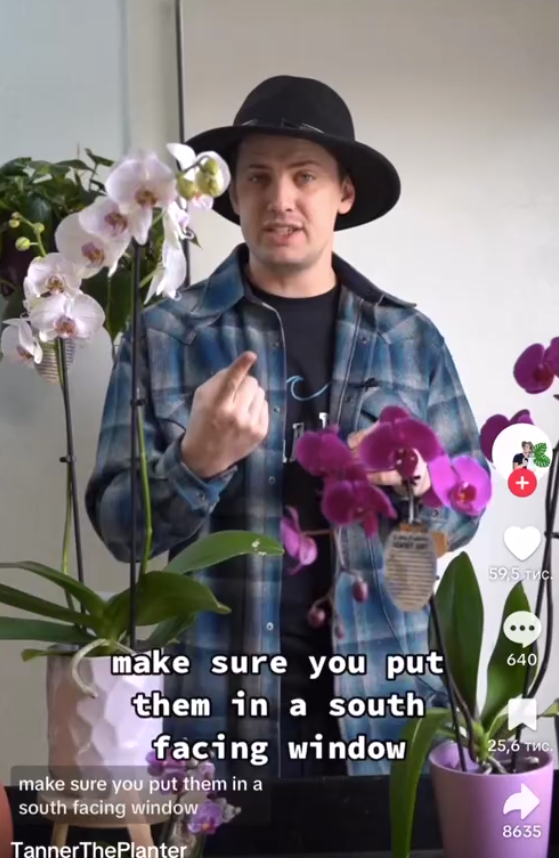 Tanner talking about orchids as seen in a TikTok video dated Feb 19, 2023 | Source: TikTok/@tannertheplanter