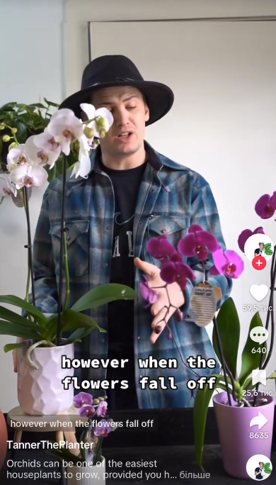 Tanner looking at the plants in front of him as seen in a TikTok video dated Feb 19, 2023 | Source: TikTok/@tannertheplanter